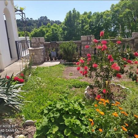 Apartmani Jovanovic Petrovac Exterior foto