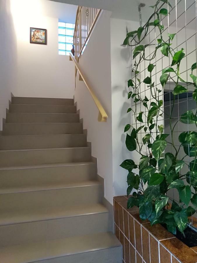 Apartmani Jovanovic Petrovac Exterior foto
